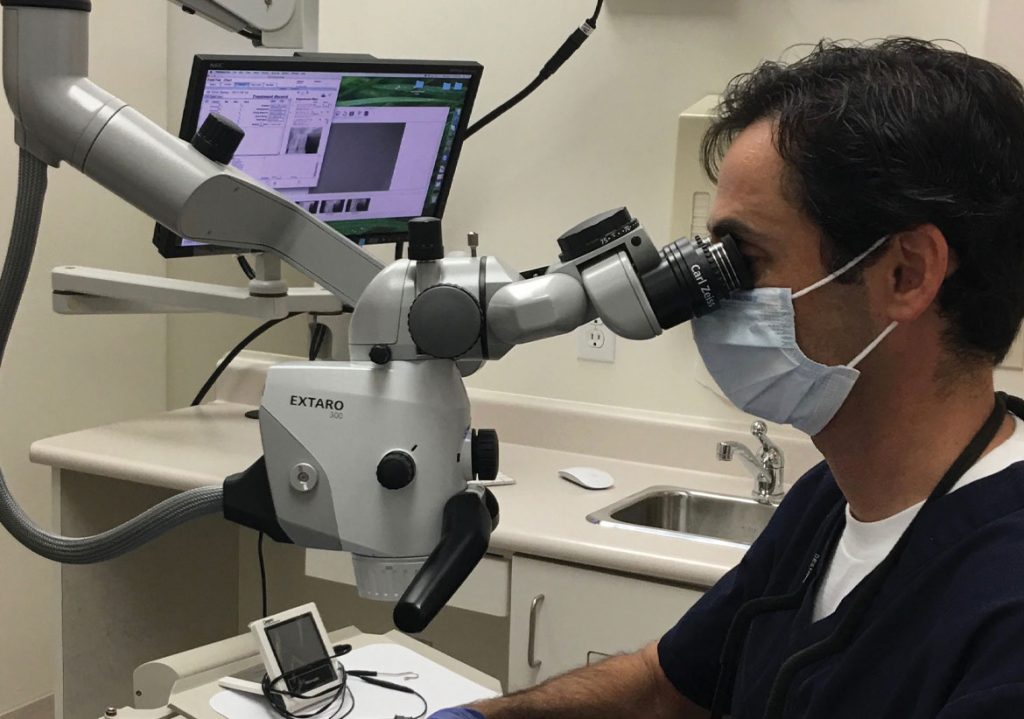 Clinical Tips for Instrumenting Calcified Canals (238) Dentistry